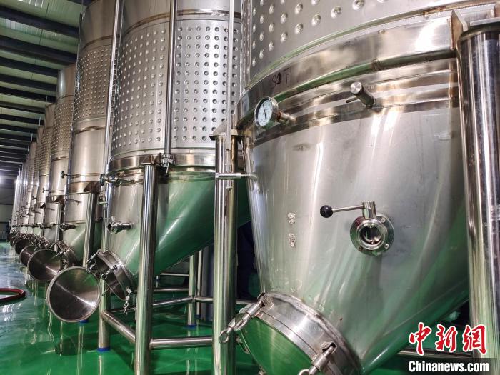 成熟的葡萄经加工后被装进发酵罐中。 史玉江 摄