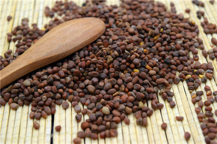 莱菔子_新浪新闻