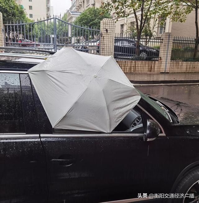 小雨伞大善举:粗心市民忘关车窗,路人用伞挡雨
