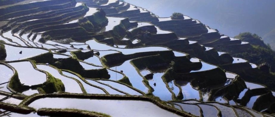 河南咱家赚多多启动注销程序：涉嫌传销冻结账户