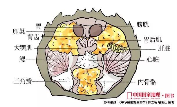 死后2小时，菌落总数激增！死了的螃蟹到底能不能吃？休闲区蓝鸢梦想 - Www.slyday.coM