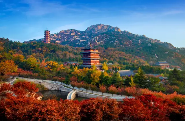 “2021年好客山东网红打卡季”评选结果揭晓！你pick的上榜了吗？休闲区蓝鸢梦想 - Www.slyday.coM
