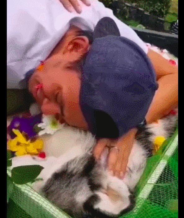 狗狗因病去世,在下葬前主人最后亲吻一下,狗:我们来世再见休闲区蓝鸢梦想 - Www.slyday.coM 狗狗因病去世,在下葬前主人最后亲吻一下,狗:我们来世再见休闲区蓝鸢梦想 - Www.slyday.coM