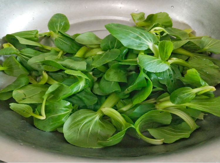 为什么你做的香菇油菜不对味？教你正确方法，上桌就光盘休闲区蓝鸢梦想 - Www.slyday.coM