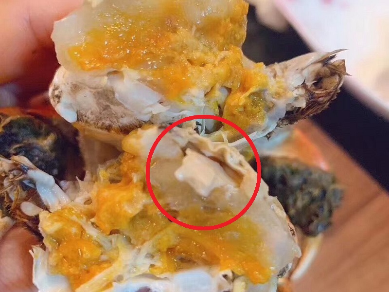 死后2小时，菌落总数激增！死了的螃蟹到底能不能吃？休闲区蓝鸢梦想 - Www.slyday.coM