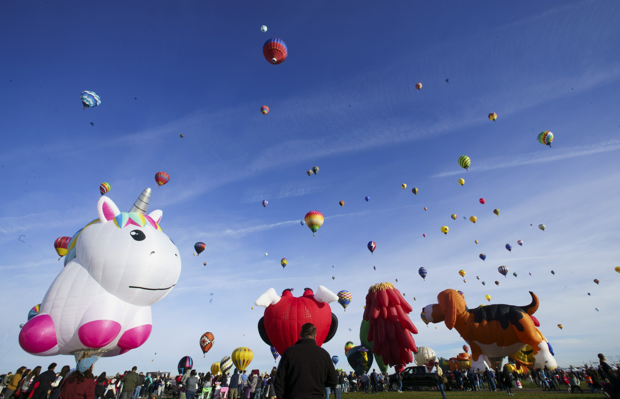 阿尔伯克基热气球节|新华社|美国_新浪新闻