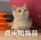 男子举报近百辆走应急车道车辆，处罚结果来了！休闲区蓝鸢梦想 - Www.slyday.coM
