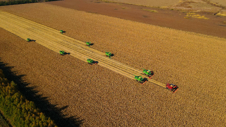 良田- 求真百科