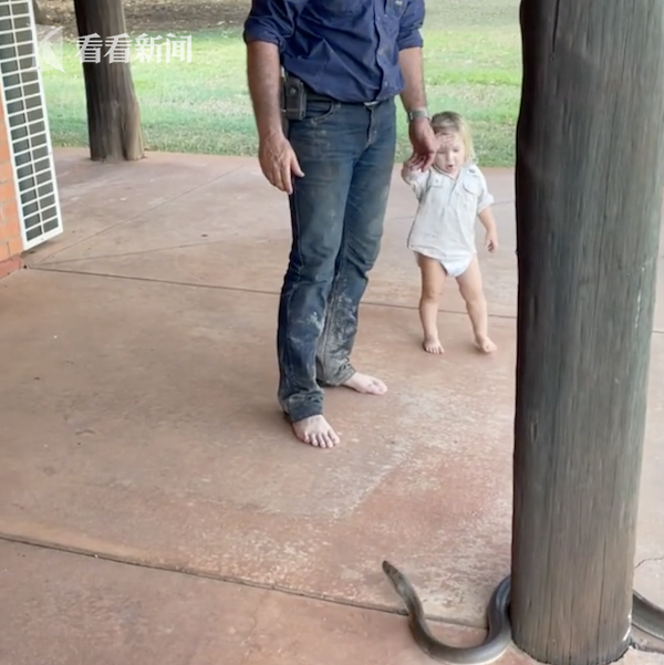 视频｜澳大利亚2岁男童手抓3米巨蟒 爸爸在一边指挥休闲区蓝鸢梦想 - Www.slyday.coM