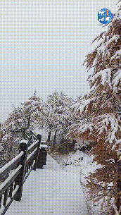 陕西多地下雪！ 难怪西安这么冷，今天出门都是这样的…休闲区蓝鸢梦想 - Www.slyday.coM