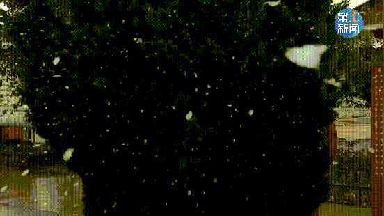 陕西多地下雪！ 难怪西安这么冷，今天出门都是这样的…休闲区蓝鸢梦想 - Www.slyday.coM