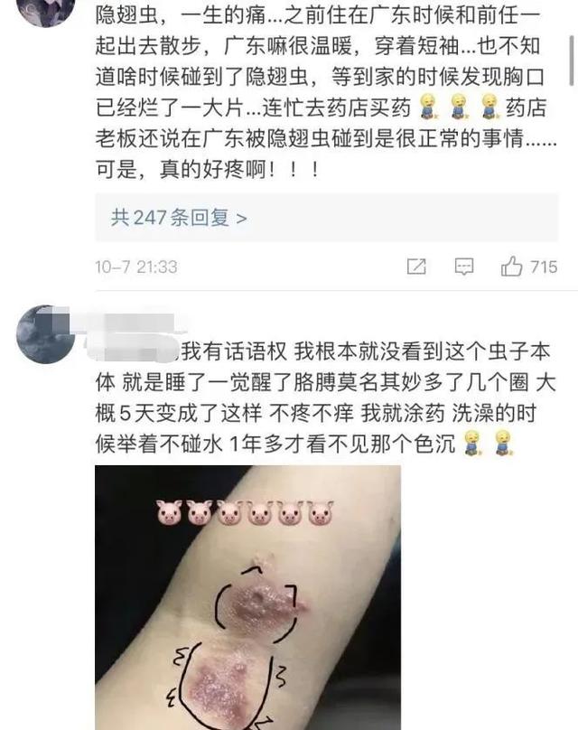 后从大家晒出的照片可以看出不少网友都表示被隐翅虫叮咬过开灯后,她