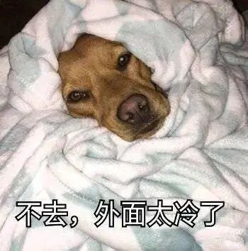 陕西多地下雪！ 难怪西安这么冷，今天出门都是这样的…休闲区蓝鸢梦想 - Www.slyday.coM