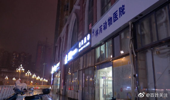 狗狗做绝育手术后死亡 主人崩溃:我来的时候它眼睛是睁开的休闲区蓝鸢梦想 - Www.slyday.coM 狗狗做绝育手术后死亡 主人崩溃:我来的时候它眼睛是睁开的休闲区蓝鸢梦想 - Www.slyday.coM