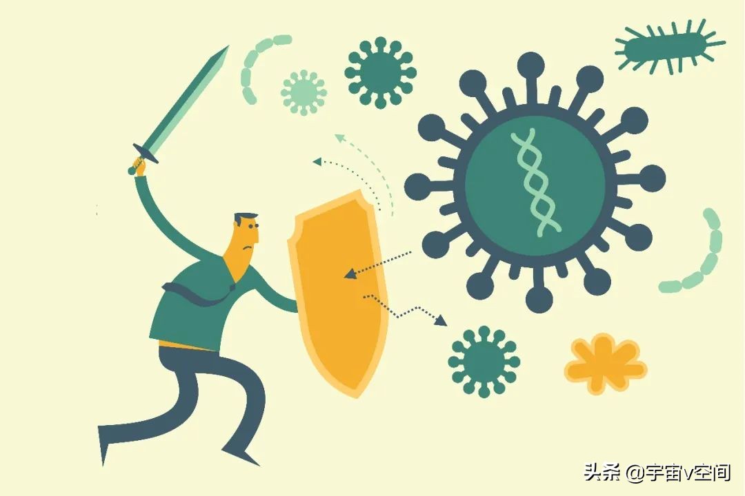 这种虫子爬在身上，再急也不要随手拍死，不然后果很严重休闲区蓝鸢梦想 - Www.slyday.coM