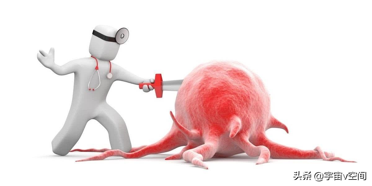 这种虫子爬在身上，再急也不要随手拍死，不然后果很严重休闲区蓝鸢梦想 - Www.slyday.coM