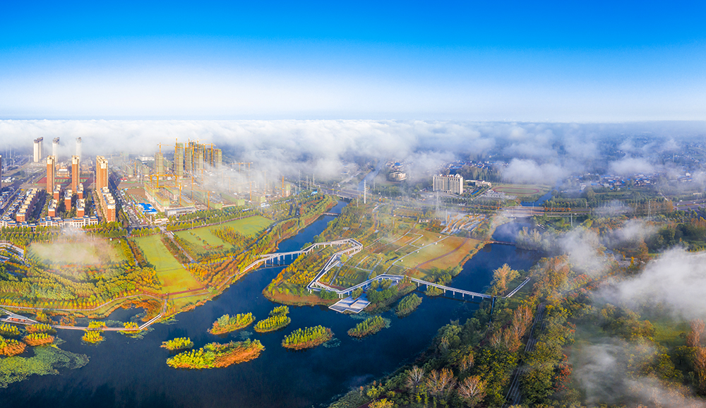 秋色尽染陵西湖,云蒸霞蔚美翻了|西湖|民居|亳州市_新浪新闻