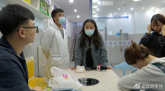 狗狗做绝育手术后死亡 主人崩溃:我来的时候它眼睛是睁开的休闲区蓝鸢梦想 - Www.slyday.coM 狗狗做绝育手术后死亡 主人崩溃:我来的时候它眼睛是睁开的休闲区蓝鸢梦想 - Www.slyday.coM