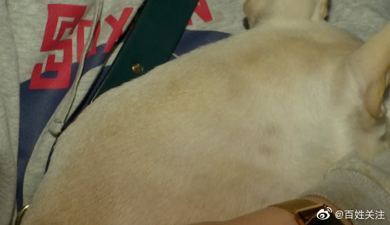 狗狗做绝育手术后死亡 主人崩溃:我来的时候它眼睛是睁开的休闲区蓝鸢梦想 - Www.slyday.coM 狗狗做绝育手术后死亡 主人崩溃:我来的时候它眼睛是睁开的休闲区蓝鸢梦想 - Www.slyday.coM