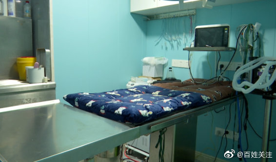 狗狗做绝育手术后死亡 主人崩溃:我来的时候它眼睛是睁开的休闲区蓝鸢梦想 - Www.slyday.coM 狗狗做绝育手术后死亡 主人崩溃:我来的时候它眼睛是睁开的休闲区蓝鸢梦想 - Www.slyday.coM