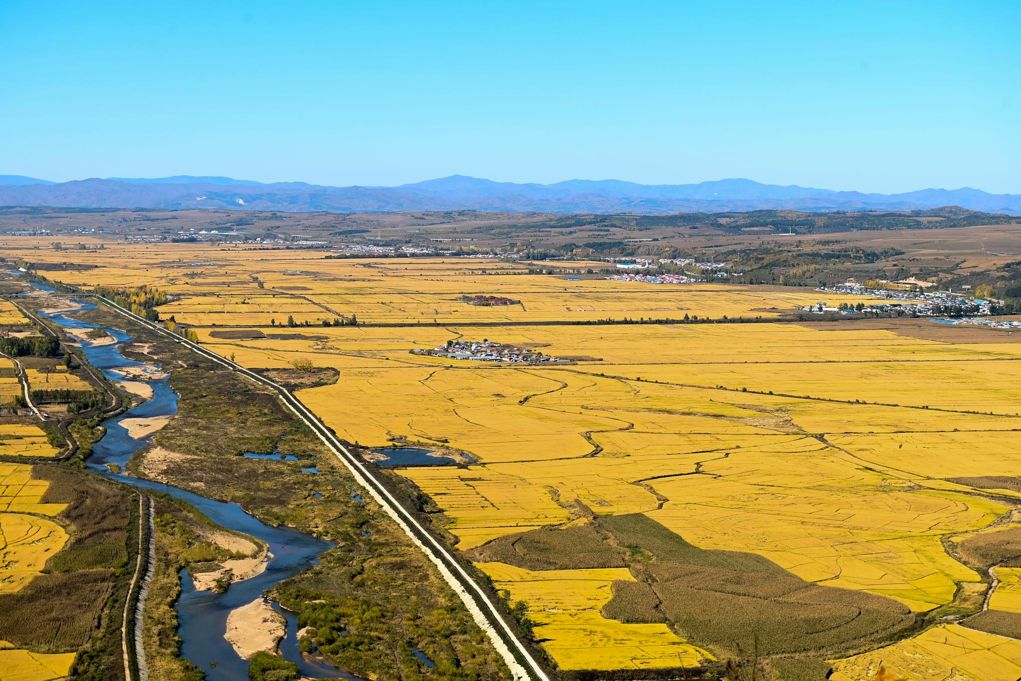 吉林延边:海兰江畔稻花香|延边朝鲜族自治州|水稻|吉林省_新浪新闻
