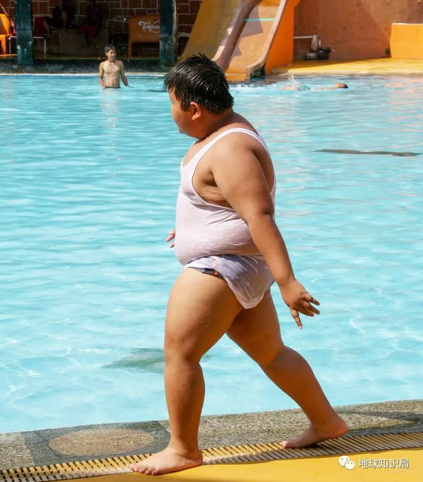 体重|美国|肥胖_新浪科技_新浪网