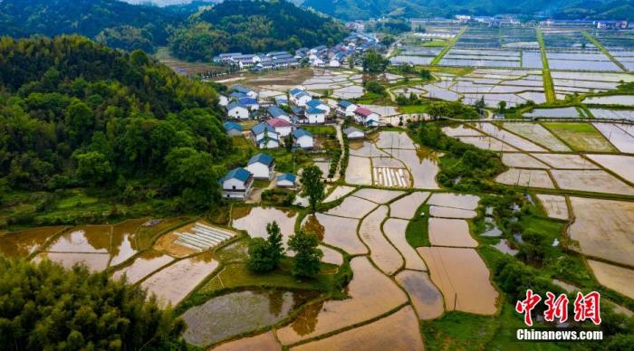 资料图：航拍江西省新余市仙女湖区九龙山乡山区有机稻、再生稻进入春耕春种高峰，农民在多彩乡村忙碌于耙田、移秧、抛秧。赵春亮 摄