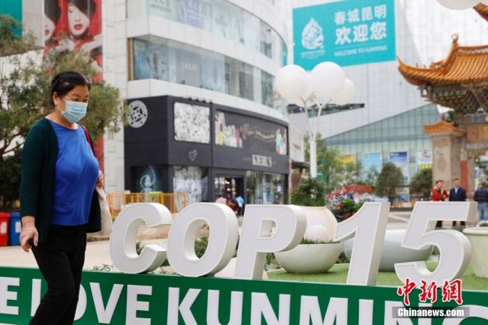 资料图：10月11日，云南省昆明市街头的COP15字样前走过。当中新社记者 李嘉娴 摄