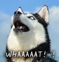 广西一男子因涉嫌开设赌场被抓，其父亲花钱“捞人”，转账30多万后…休闲区蓝鸢梦想 - Www.slyday.coM