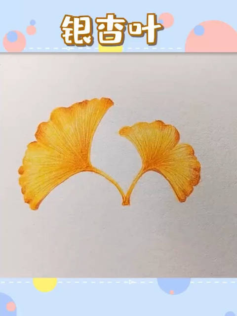 彩铅绘画银杏叶,很适合小朋友的教程 来源:蓝蓝绘画
