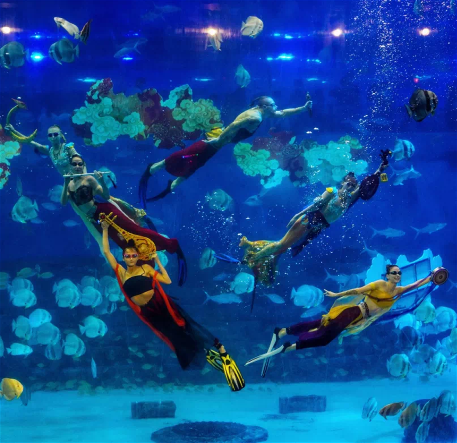 还有许多同样好玩的海洋馆,例如绿色星球海洋动物乐园,三峡海洋世界等