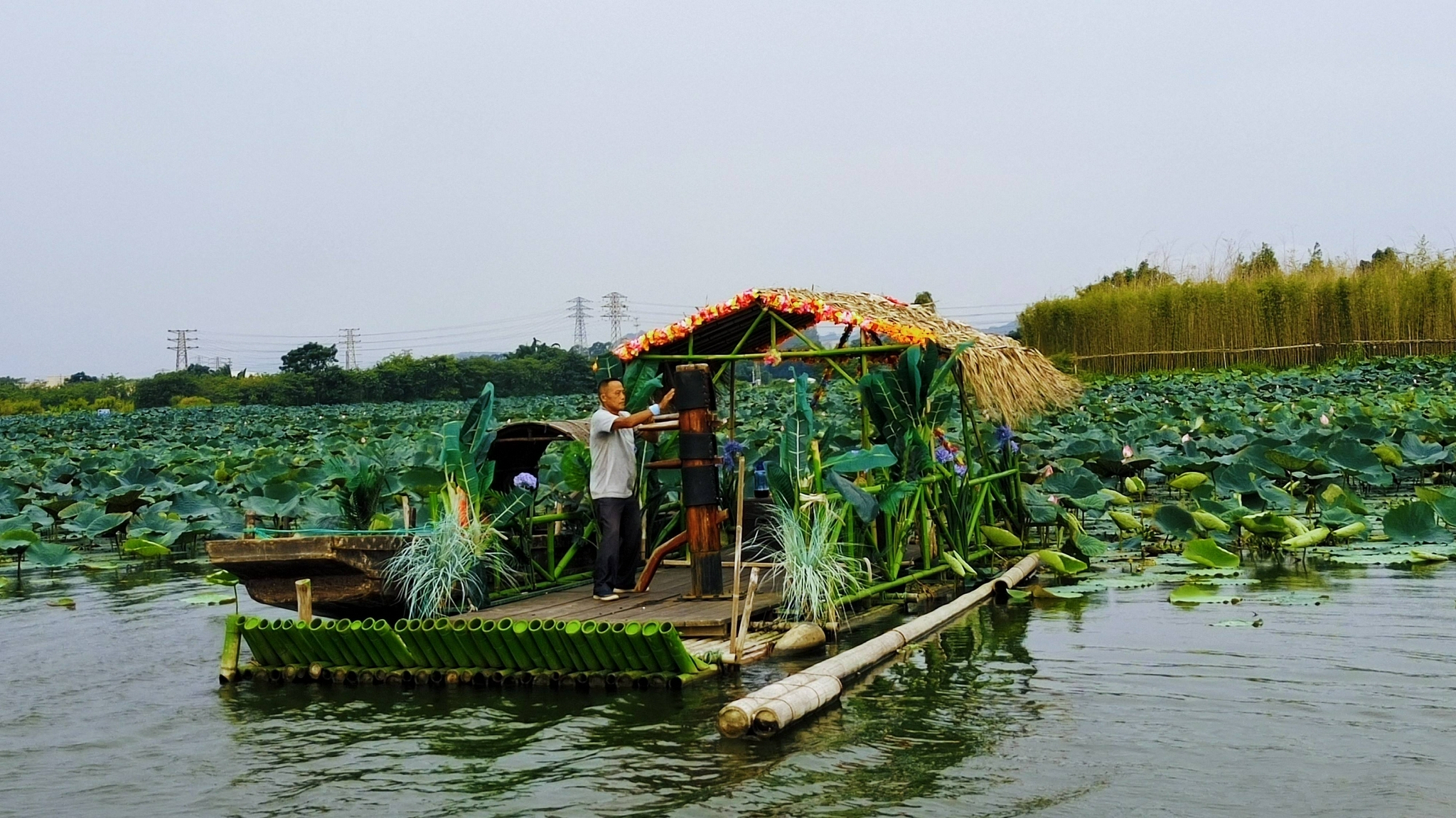 江门鹤山古劳水乡