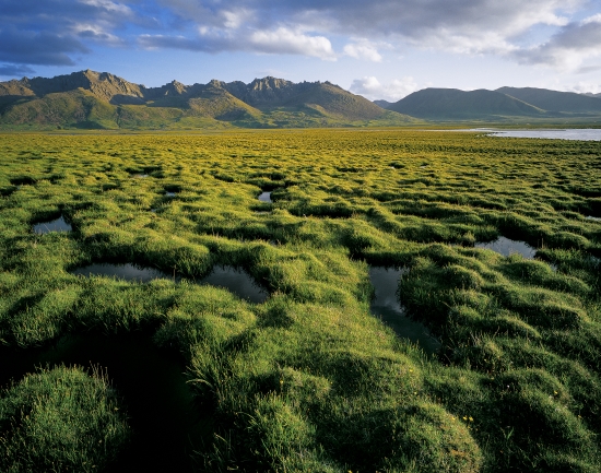 三江源国家公园地处青藏高原腹地,保护面积19.