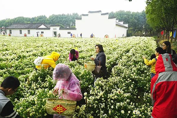 安吉江南天池景区露营_湖州江南天池景区酒店_湖州江南天池景区酒店