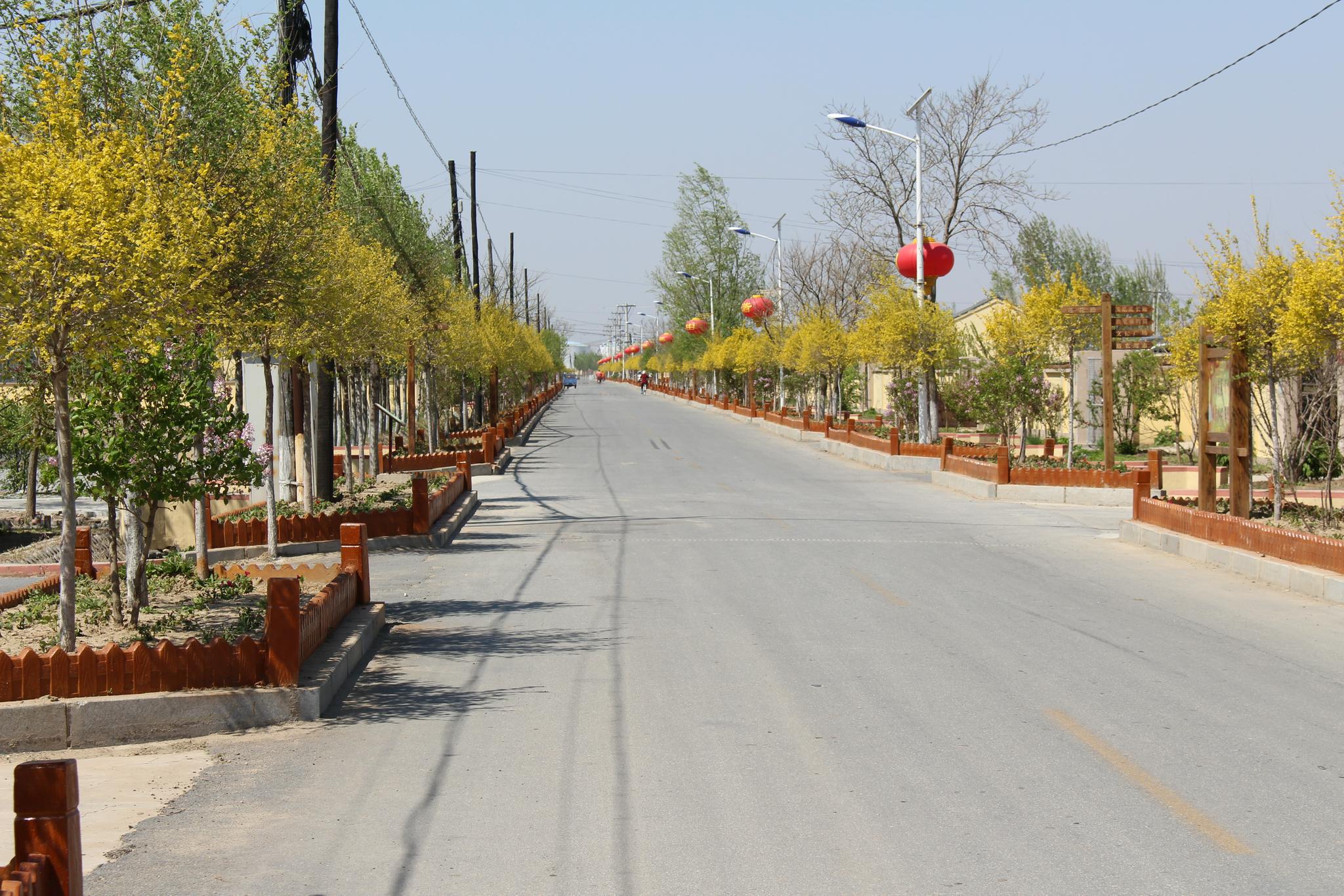 辽宁:2022年实现具备条件自然村全部通硬化路|辽宁省|农村_新浪新闻