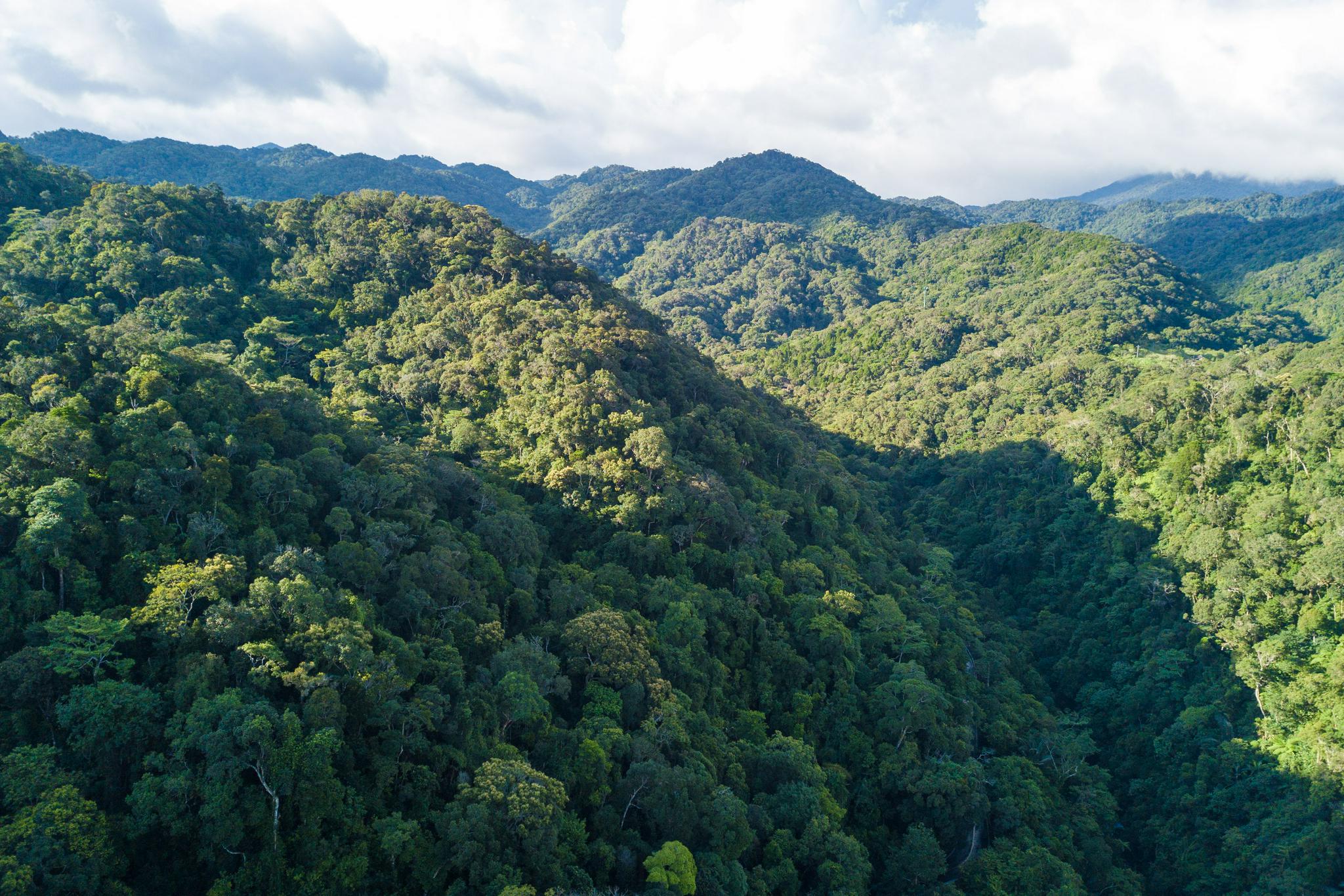 "飞阅"海南热带雨林国家公园|海南省_新浪新闻