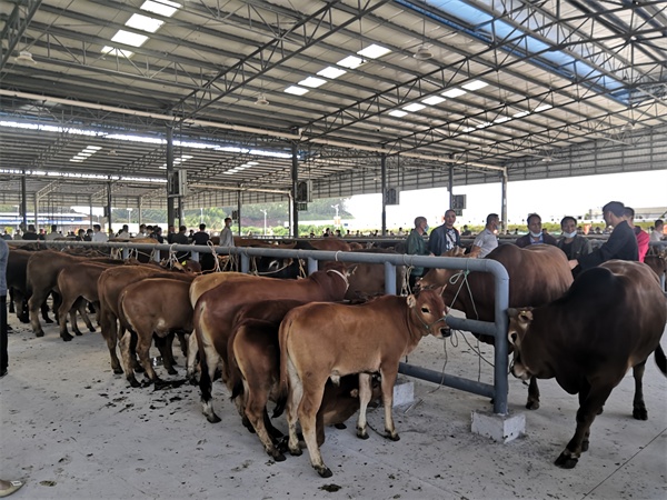 易游娱乐城- YY易游体育官方网站- 易游体育APP259195亿元!2025年广东农业企业品牌价值50强诞生