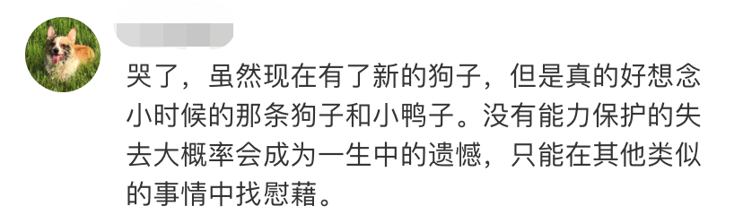 十块钱是孩子一辈子的心理阴影休闲区蓝鸢梦想 - Www.slyday.coM