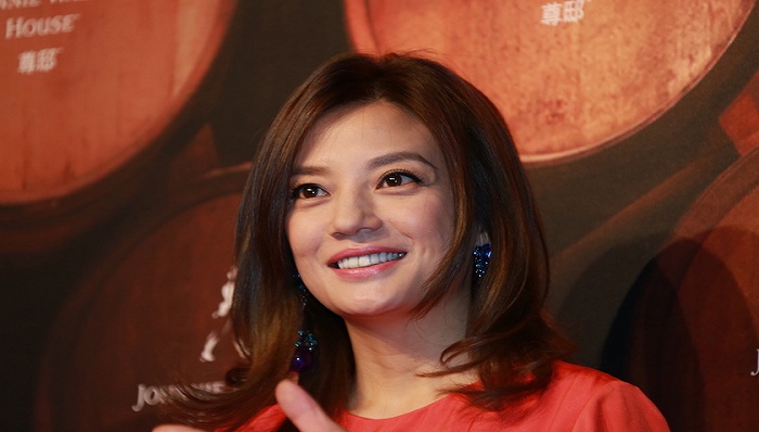 民生信托起诉赵薇,黄有龙夫妇和史玉柱