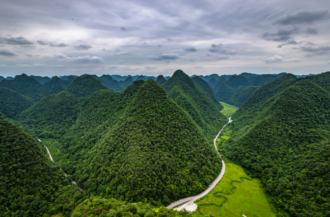 荔波茂兰喀斯特森林(图片来源:视觉中国)