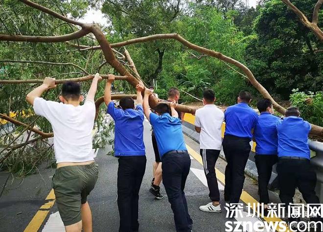 圆规来袭盐田区全力以赴防御台风