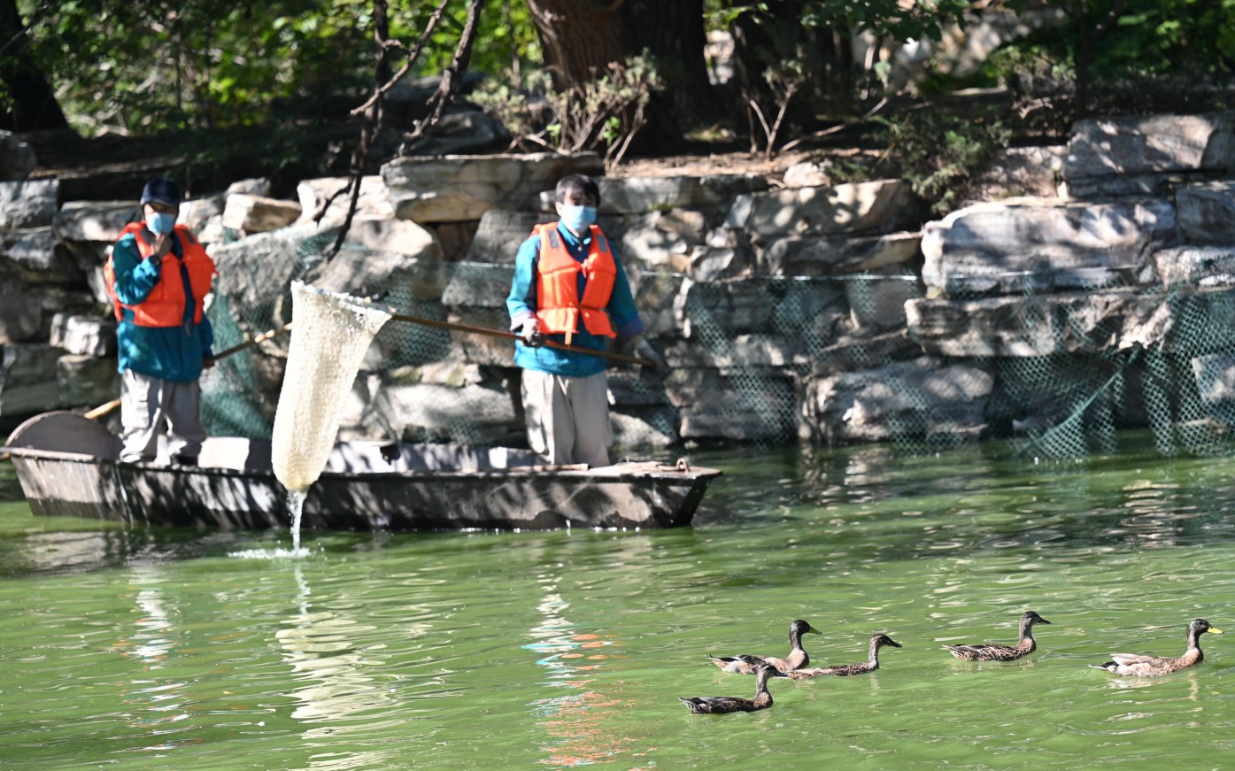 2021年10月12日，北京动物园的工作人员将水禽引导到检查区域。新京报记者 陶冉 摄