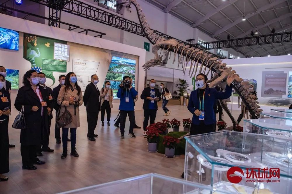 中国第一个3D打印恐龙骨架亮相，在昆明！
