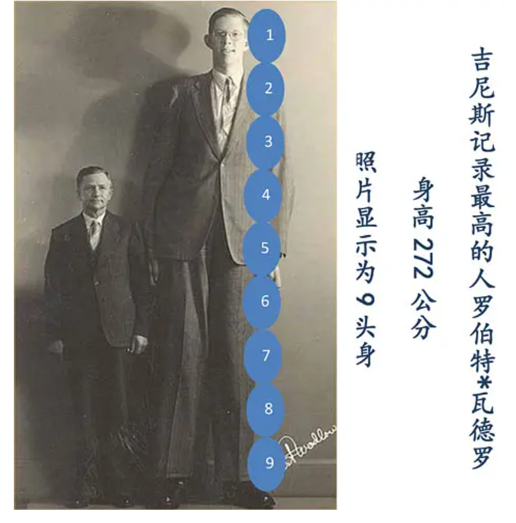 世界第九大奇迹她坐着和站起来的腿长相差100座珠穆朗玛峰