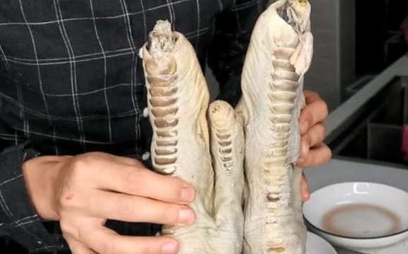 小伙花234元网购一对鸵鸟爪卤煮一小时后像猪蹄抓着啃真爽