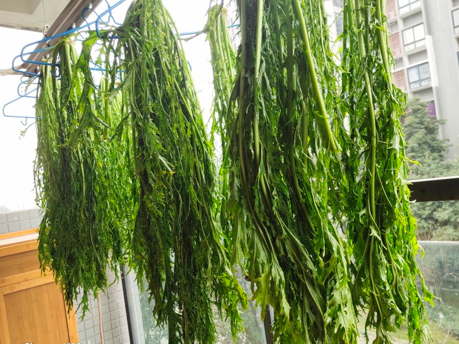 雪里蕻怎么腌好吃奶奶用了30年的老方法清脆爽口一遍就学会