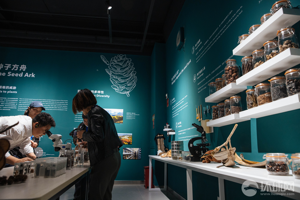 种子也可以色彩斑斓:探访中国第一个种子博物馆|中国|环球网_新浪新闻