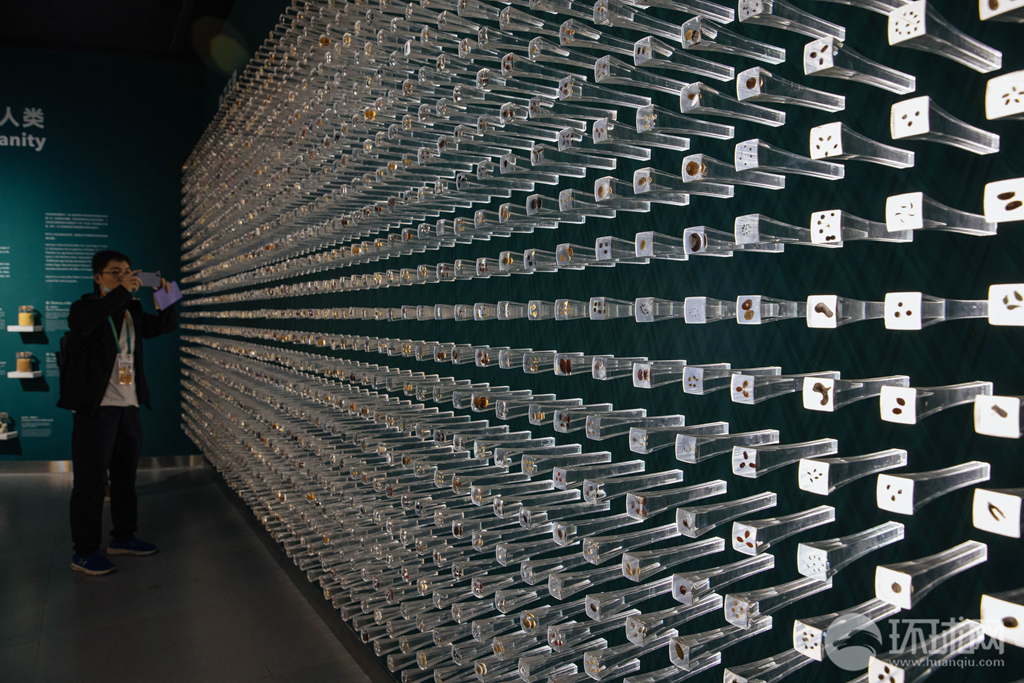 种子也可以色彩斑斓:探访中国第一个种子博物馆|中国|环球网_新浪新闻