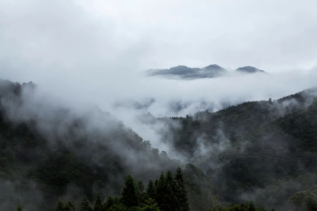 厦门市人民政府