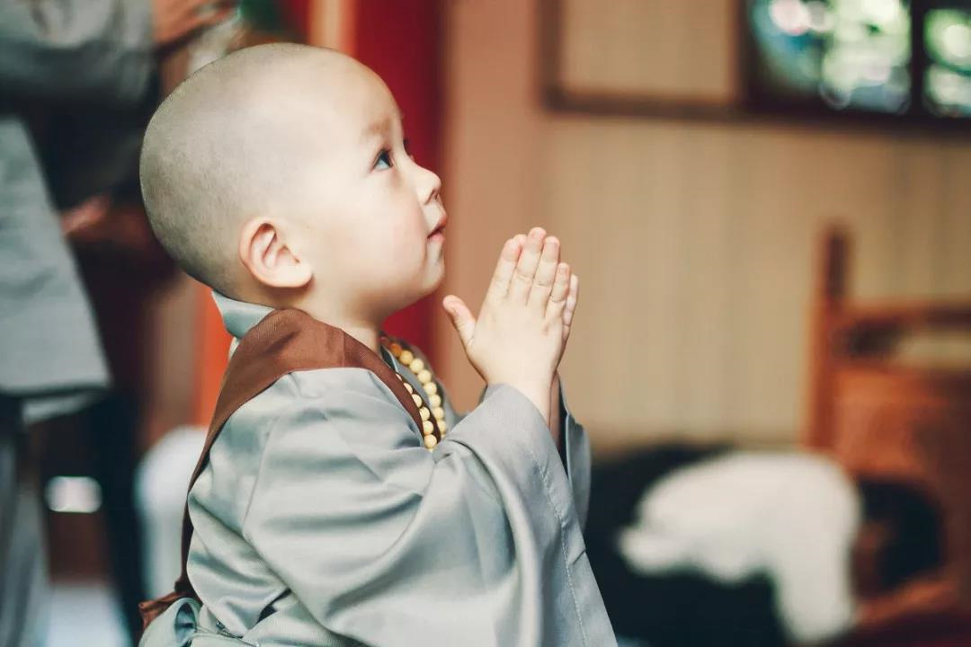 便宜占尽了子女就会倒霉了晚课第913期